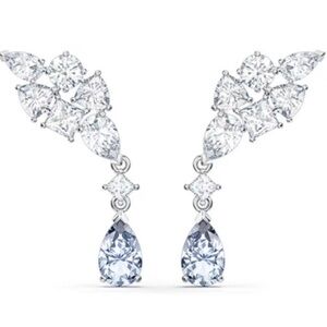 Teardrop Crystal earrings.